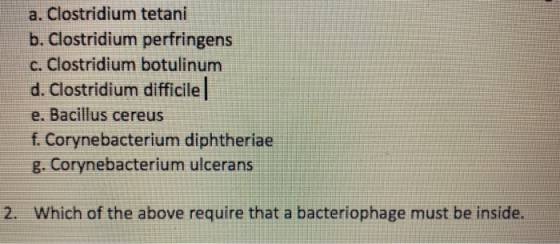 a. Clostridium tetani b. Clostridium perfringens c. Clostridium botulinum d. Clostridium difficile e. Bacillus cereus f. Cory