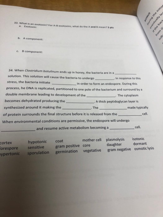 SONO puring the initias eventually les if the bact from infla 33. What is an exotowin? For a Exotowin: what do the A m en? b.