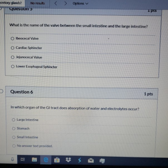 > Options cretory glands? No results Questions Ipus What is the name of the valve between the small intestine and the large i