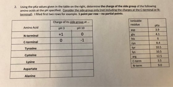 2. Using the pka values given in the table on the right, determine the charge of the side group of the following amino acids