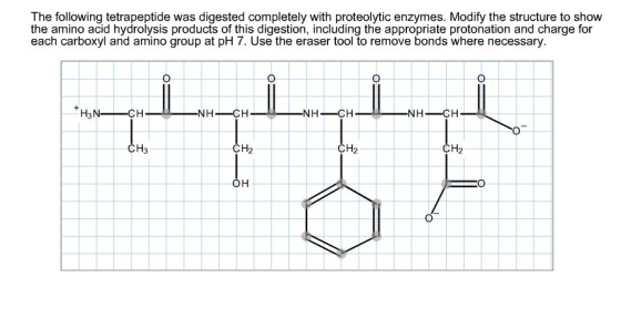 The following tetrapeptide was digested completely