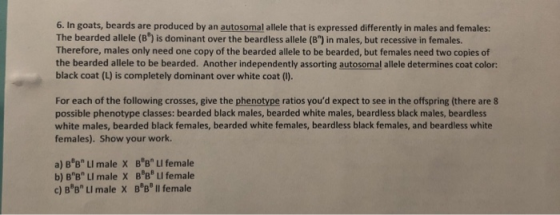 6. In goats, beards are produced by an autosomal allele that is expressed differently in males and females: The bearded allel