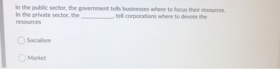 In the public sector, the government tells businesses where to focus their resources. In the private sector, the____tell corp