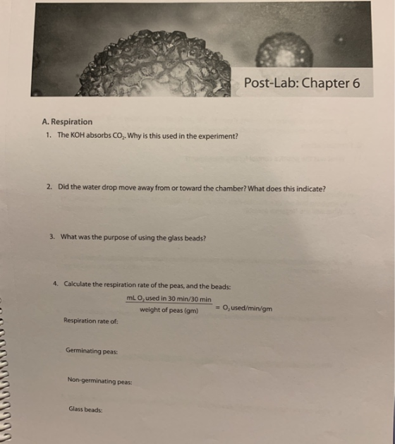 Post-Lab: Chapter 6 A. Respiration 1. The KOH absorbs CO,. Why is this used in the experiment? 2. Did the water drop move awa