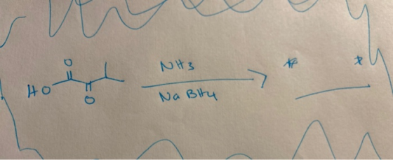 NH3 t * s Ho Na Bity