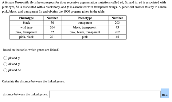 A female Drosophila fly is heterozygous for three recessive pigmentation mutations called pk, bk, and tp.pk is associated wit