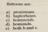 Baboons are: a) prosimians. b) haplorhines. c) hominoids. d) hominids. e) both b and c.