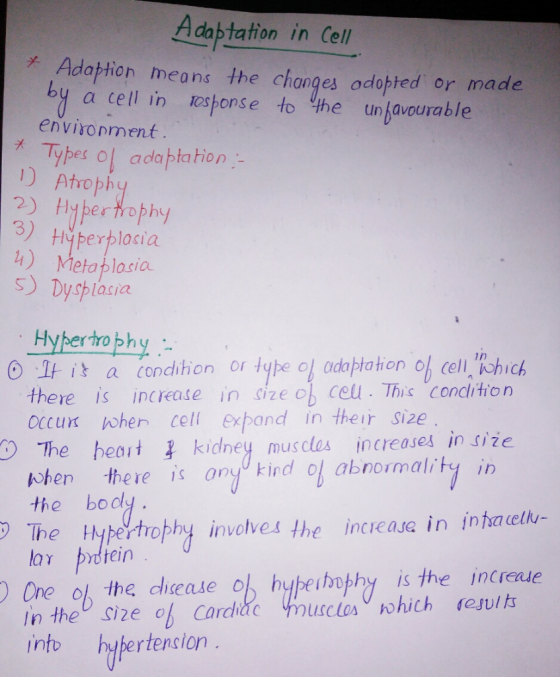 Adabtation in Cell Adaption means the changes odobted or made by a cell in oshonse to the un favourable enviropment * Tybes