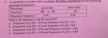 5. A population of snakes that is at Hardy-Weinberg equilibrium has the following genotype frequencies: Phenotype: green skirn BB or Bb yellow skin Genotype: Phenotype frequency: 0.96 What is the frequency of p (B) and q (b)? a. Frequency of p (B)-0.8 and frequency of q (b)-0.2 b. Frequency of p (B)-0.2 and frequency of q (b)-0.8 c. Frequency of p (B)-0.96 and frequency of q (b)-0.04 d. Frequency of p (B)-0.04 and frequency of q(b)-0.80 0.04