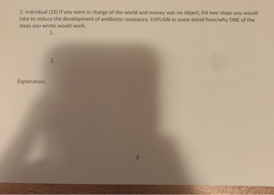 2. Individual (15) If you were in charge of the world and money was no object, list two steps you would take to reduce the de