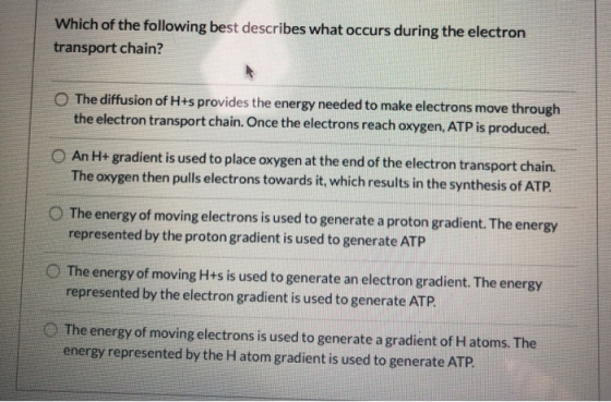 Which of the following best describes what occurs during the electron transport chain? The diffusion of H+s provides the ener