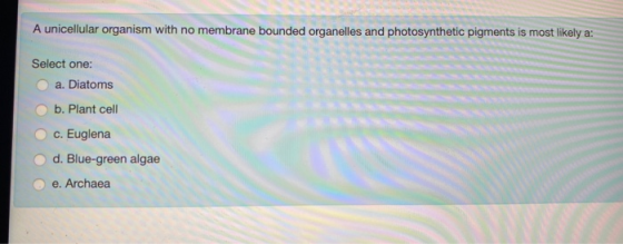 A unicellular organism with no membrane bounded organelles and photosynthetic pigments is most likely a: Select one: a. Diato