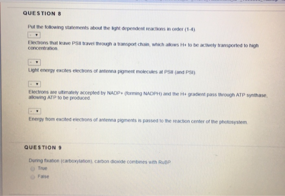 QUESTION 8 Put the following statements about the light dependent reactions in order (1-4) Electrons that leave PSI travel th