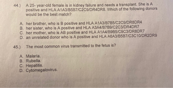44.) A 25-year-old female is in kidney failure and needs a transplant. She is A positive and HLA A1 A3/B5B7/C2C9/DR4DR8. Whic