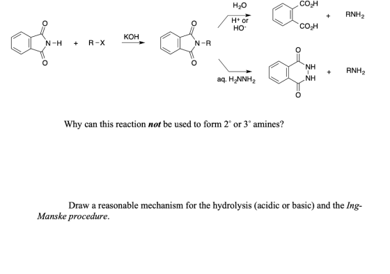 H2O COH + RNH2 H+ or O HO- COH on on КОН N-H + R-X N-R Ο RNH2 aq. H2NNH2 ΝΗ Why can this reaction not be used to form 2 or 3