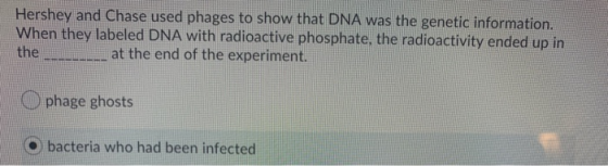Hershey and Chase used phages to show that DNA was the genetic information. When they labeled DNA with radioactive phosphate,
