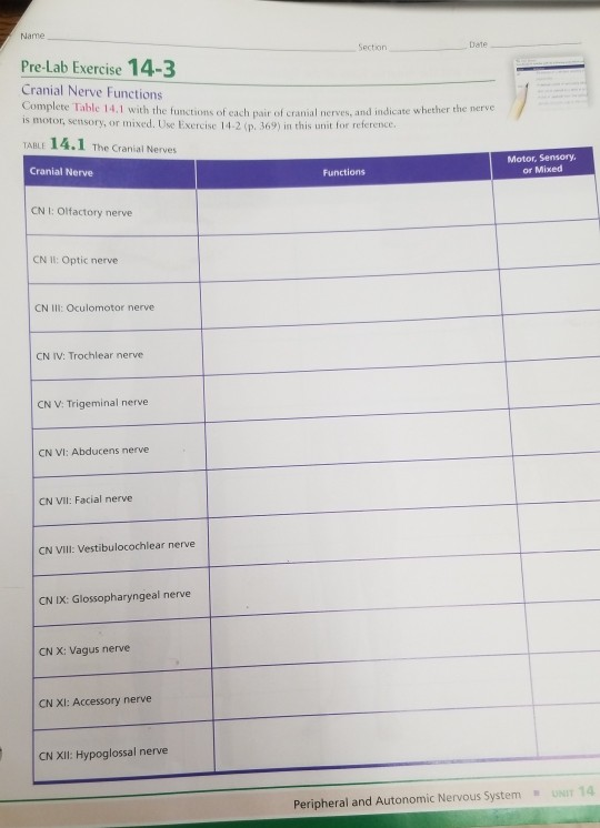 Name Pre-Lab Exercise 14-3 Cranial Nerve Functions Complete Table 14.1 with the fun c h a l nerves and indicate whether the n