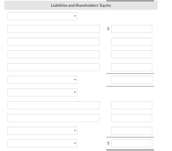 Liabilities and Shareholders Equity $ tA tA