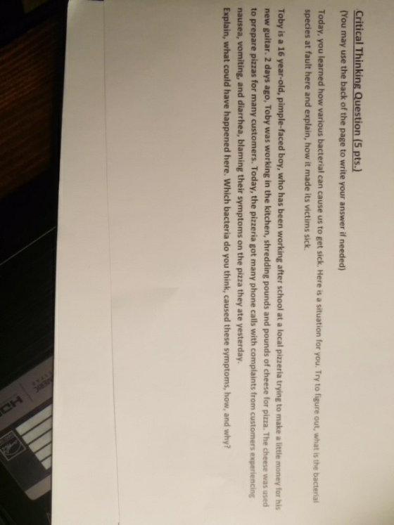 Critical Thinking Question (5 pts.) (You may use the back of the page to write your answer if needed) Today, you learned how