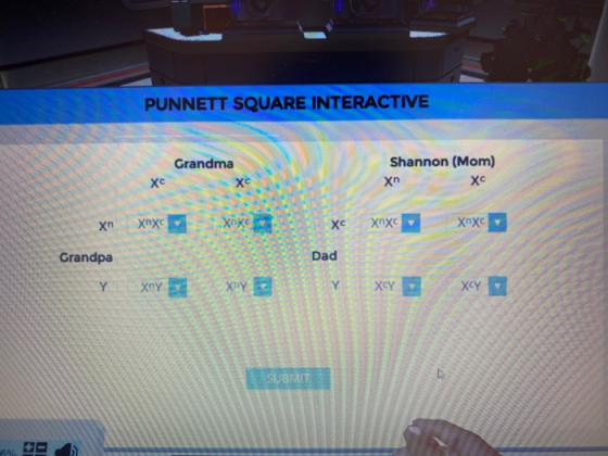 PUNNETT SQUARE INTERACTIVE Grandma Shannon (Mom) xn Xc Xnx Grandpa SUBMIT