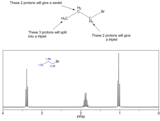 These 2 protons will give a sextet H3C 2 These 3 protons will split into a triplet These 2 protons will give a triplet 1.88 Br 1.03 3.39 4 PPM
