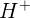 \large H^{+}