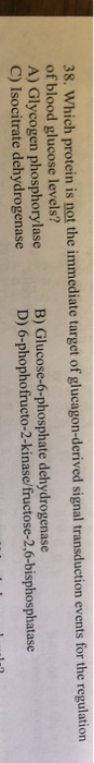 38. Which protein is not the immediate target of glucagon-derived signal transduction events for the regulation of blood gluc