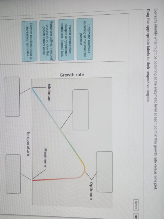 Correctly identify what might be occurring at the enzymatic level at each point in this growth rate versus time plot. Drag th