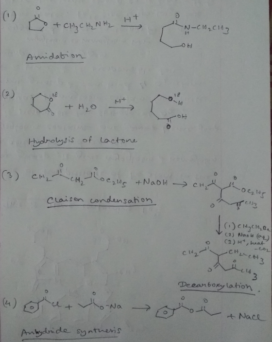 8 +.com CH, NH₂ •N-C10₂C18 -OH Amidation OL Hydrolysis of lactone oc2lc & Naolt i ho c2185 Claisen condensation T3 (1)CH₂CH,
