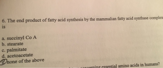 6. The end product of fatty acid synthesis by the mammalian ftty acid synthase complex is a. succinyl Co A b. stearate c. palmitate d. acetoacetate Onone of the above erning essential amino acids in humans?