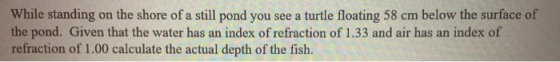 While standing on the shore of a still pond you see a turtle floating 58 cm below the surface of the pond. Given that the wat