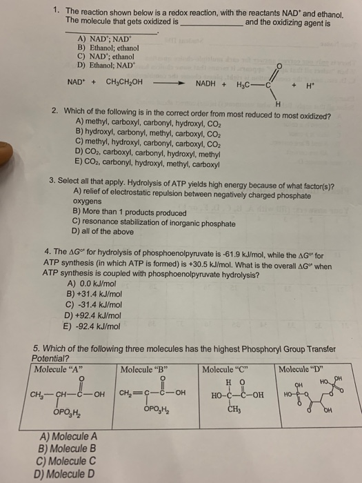 1. The reaction shown below is a redox reaction, with the reactants NAD and ethanol. The molecule that gets oxidized is __and