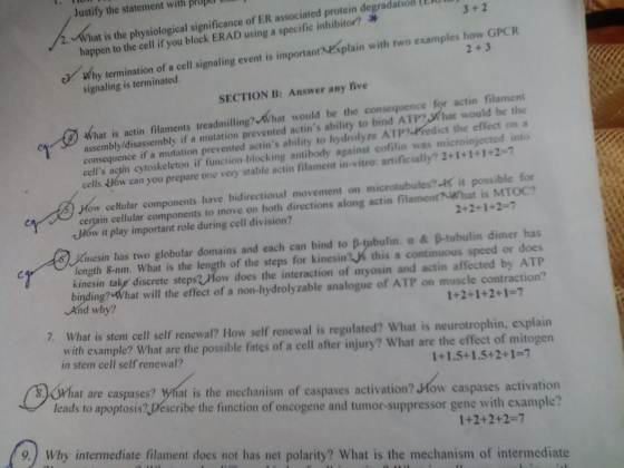 Why termination of a cell signaling event is impor