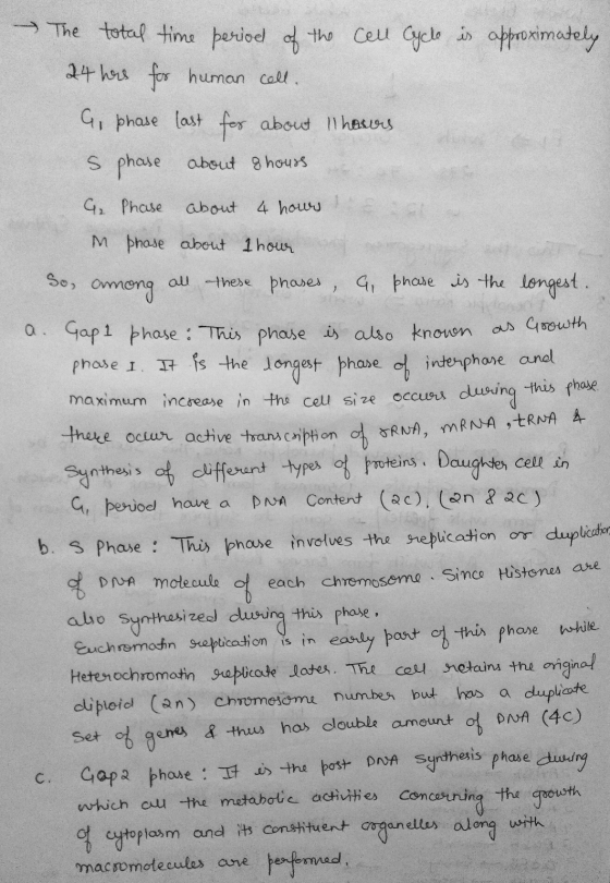 The total time period of the cell cycle is approximately 24 here for human cell. G phase last for about 11 hours s phase abou