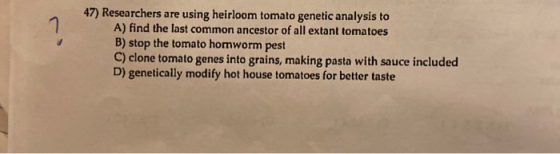 47) Researchers are using heirloom tomato genetic analysis to A) find the last common ancestor of all extant tomatoes B) stop