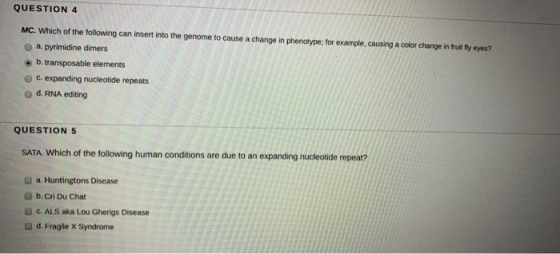 QUESTION 4 MC. Which of the following can insert into the genome to cause a change in phenotype; for example, causing a color