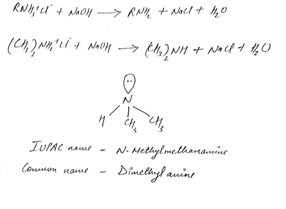 KNN U t Noon RNH + Nach + H₂O (CH), NH U + NAOH - (M.)NH & Nach & the IUPAC mame - N- Methylmethanamine Comuon name - Dimelky