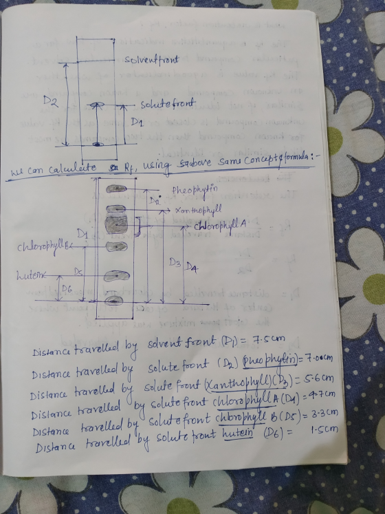 solventfront ho r ita R * Solite foort i De boob el browotno rasonerie saabove We can on RL, using same concept & formula :-