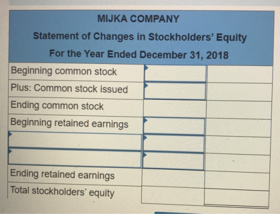 MIJKA COMPANY Statement of Changes in Stockholders Equity For the Year Ended December 31, 2018 Beginning common stock Plus: