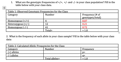 1. What are the genotypic frequencies of +/+, +/-and-/-in your class population? Fill in the table below with your class data