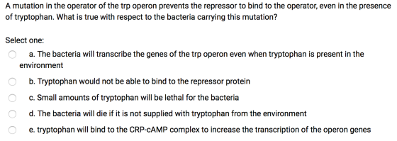 A mutation in the operator of the trp operon prevents the repressor to bind to the operator, even in the presence of tryptoph