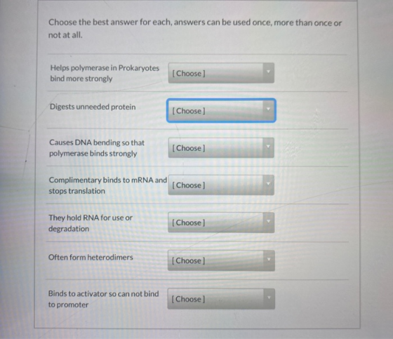 Choose the best answer for each, answers can be used once, more than once or not at all. Helps polymerase in Prokaryotes bind