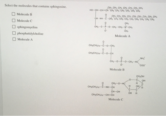 Select the molecules that contains sphingosine. CH2 CH2 CH2 CH2 CH2 CH2 CH3 HO-CH-CH=CH2 CH2 CH2 CHỊ CH2 CH2 CH2 — OCH CHO CH