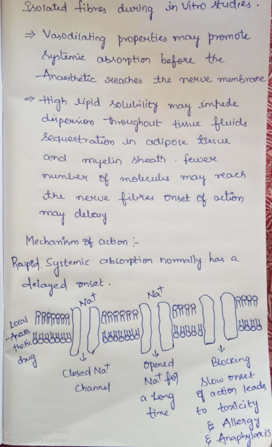 Isolated fibres during in vitro studies. → Vasodilating properties may promote systemic absorption before the Anaesthetic rea