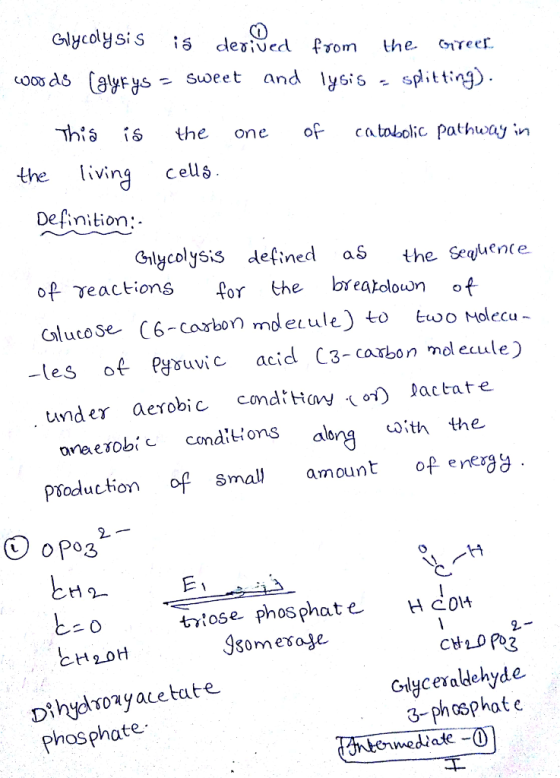 Glycolysis is cderived from he er oosds (ayFys - suoeet and ly6is sptting) this the one 아 catol olic, Pat huty in the living cels Desinition;- Glycolysis detined aS the Seqente of reactions for the breakoloun of GlucoseC6-carbon mdecule too Holecu- -les of Pyruvic acid C3-carbon molecule) under aerobic cndHayo Dactate areerobi conditions a Ptoduction oSma mount ofee3 ang <ith the 2 niose phosphate Hc014 CH20H 2. DİhyAoyace tate Phosphate Grlyceradlehyde 3-phosphat e
