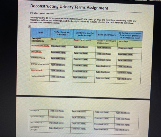 Deconstructing Urinary Terms Assignment (40 pts, 1 point per cell) Deconstruct the 10 terms provided in the table: Identify t
