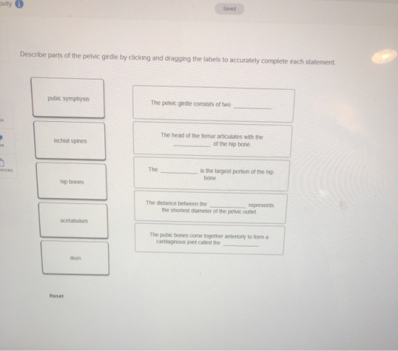 civity 6 Saved Describe parts of the pelvic girdle by clicking and dragging the labels to accurately complete each statement