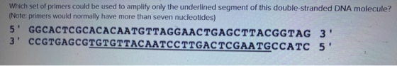 Which set of primers could be used to amplify only the underlined segment of this double-stranded DNA molecule? (Note: primer