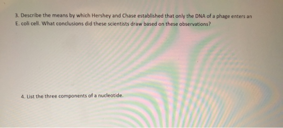 3. Describe the means by which Hershey and Chase established that only the DNA of a phage enters an E coli cell. What conclus