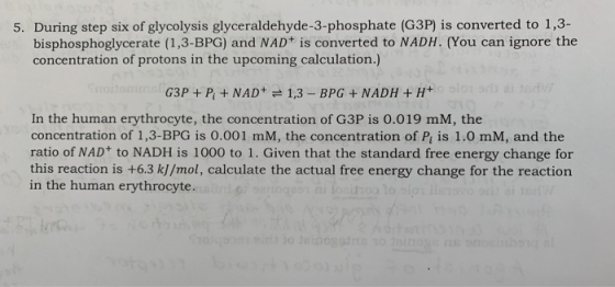 5. During step six of glycolysis glyceraldehyde-3-phosphate (G3P) is converted to 1,3- bisphosphoglycerate (1,3-BPG) and NAD+
